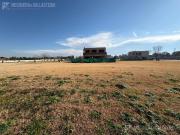 Terreno en El Olivar