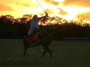 Terreno en el Yucatán Polo Club