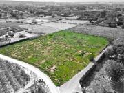 Terreno de 10.000 metros en Elche