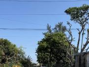 Terreno en Emiliano Zapata