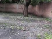 Terreno en Emiliano Zapata Morelos