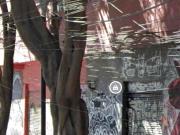 Terreno en esquina colonia San Rafael