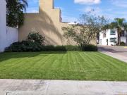 Terreno en Esquina en Pedregal de Vista Hermosa– 298 m²