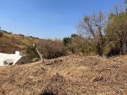 Terreno en Fracc. El Palmar, Col Palmira, Cuerenavaca...