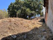 Terreno en Fracc. El Palmar, Col Palmira, Cuerenavaca...