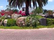 TERRENO EN FRACCIONAMIENTO BIO GRAND JURIQUILLA, QUERÉTARO