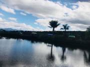 Terreno en Fraccionamiento Campestre LOMAS DEL SUR