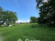 Terreno en Fraccionamiento Jardines de Champayan