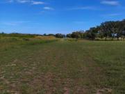 Terreno en Fraccionamiento Laguna de Tamiahua