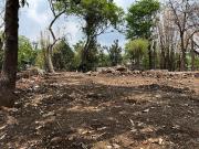 Terreno en Fraccionamiento Real de Tetela