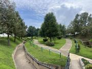 Terreno en Fraccionamiento Senderos de Monte Verde