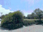 Terreno en Guadalupe VENTA