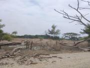 Terreno en Guayas, Daule, Nobol lotización los canales Km 5