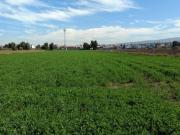 Terreno en Hacienda del jacal