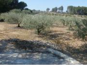 Terreno en la Ca Pallús Ontinyent