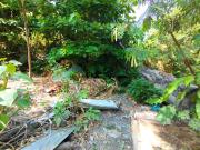 Terreno en la Colonia el Taller