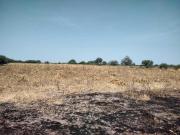 TERRENO EN LA D Pedro Escobedo