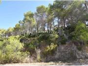 TERRENO EN LA ENTRADA DE CAN SURIÀ, OLIVELLA