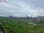 TERRENO EN LA HUERTA DE TORREAGUERA, MURCIA