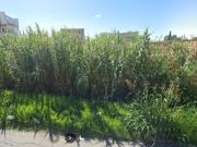 Terreno en La Plata