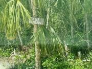 Terreno en Venta en la Ruta de los Cenotes en Puerto Morelos