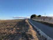 TERRENO EN LA ZONA DE CANTOBLANCO A ESCASOS KMS.DEL PUEBLO