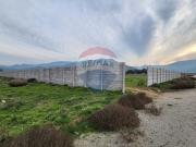 Terreno en Lampa: 5000m² para tu proyecto ideal