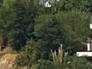 Terreno en Loma Real Bosque Real