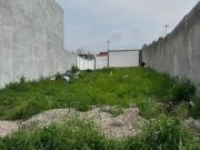 Terreno en Lomas de Cortes
