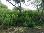 Terreno en Lomas de Rosales