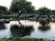Terreno en Lomas del Campanario Norte