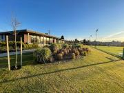 Terreno en Los Cardos