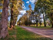 Terreno en Los Tres Pinos
