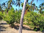 Terreno en Luces En El Mar