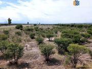 Terreno en Málaga