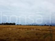 Terreno en Maneadero en VENTA