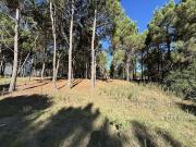 Terreno en Marítimo IV, tercera línea de mar – Costa...