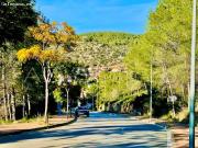 Terreno en Mas Alba con Proyecto de Casa Contemporanea