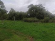 Terreno en Mazamitla