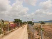 TERRENO EN MONCADA: la naturaleza cercana a la ciudad