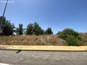 TERRENO EN MONTECASTILLO JEREZ DE LA FRONTERA
