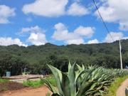 Terreno en Omitlan de Juárez