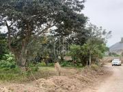 Terreno en Pachacamac 18000 m² Río Lurín Terreno en Pachacamac 18000 m² Río Lurín