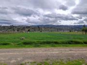 Terreno En Parcelas De Tilipulo