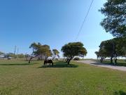 Terreno en Parque Lago