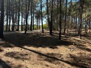 Terreno en Pinar del Golf
