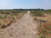 Terreno en Piura, 4.40 Ha, Carretera Sullana Tambo Grande