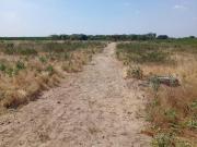 TERRENO EN PIURA, 4.40 Ha, Carretera Sullana Tambo Grande