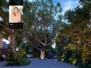 Terreno en Playa del Carmen