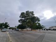 Terreno en Pozoalbero